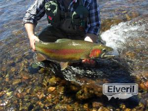 Bariloche Outfitters, envoyé par: Johansen