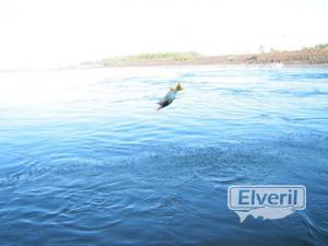 Bariloche Outfitters, enviado por: Johansen