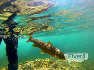 Bariloche Outfitters, envoyé par: Johansen