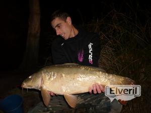 una bonita carpa royal y con record, enviado por: miguel angel manzano vila (No registrado)