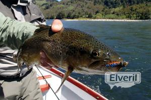 Bariloche Outfitters, envoyé par: Johansen