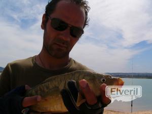 verano carpfishing, sent by: comanescu paul nicolae (Not registered)