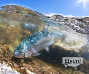 Bariloche Outfitters, envoyé par: Johansen