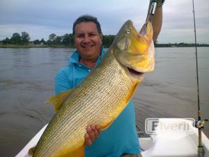 Doradazos de Salto Chico, Concordia., sent by: Guillermo Benitez (Not registered)