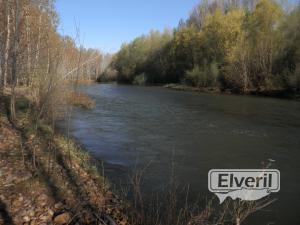 marne, envoyé par: PESCACEBO (Non enregistré)