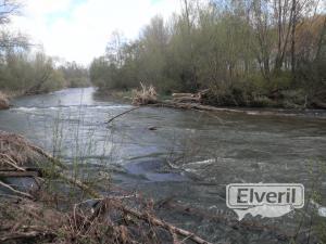 Coto Marne, sent by: JM (Not registered)
