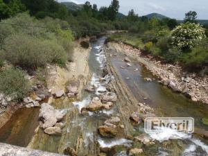 Puente de Villacantid, enviado por: DAVID (No registrado)