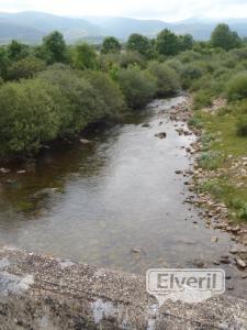 Puente de Villacantid, enviado por: David (No registrado)
