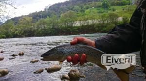 Mieres, sent by: Otero