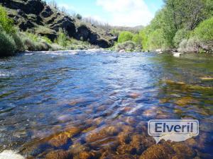 Los Llanos de Tormes, sent by: enedino