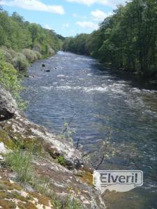 Los Llanos de Tormes, sent by: enedino