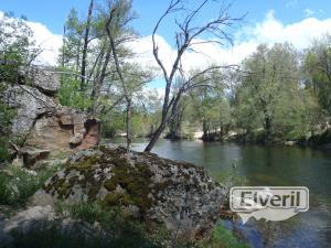 Los Llanos de Tormes, sent by: enedino