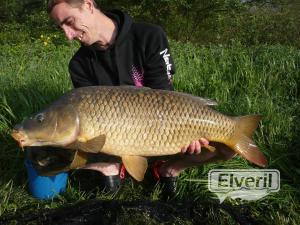 esta preciosa carpa de 11,100, enviado por: miguel angel manzno vila (No registrado)