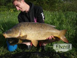 esta preciosa carpa de 11,100, envoyé par: miguel angel manzno vila (Non enregistré)