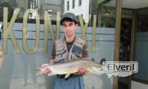 Rio Urola -Gipuzkoa-Euskadi, enviado por: El veril pesca Pais vasco (No registrado)