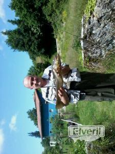 El veril pesca, sent by: El veril pesca (Not registered)