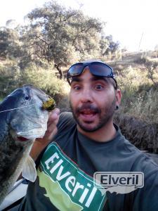 Mi primer  basa a mosca, enviado por: peska