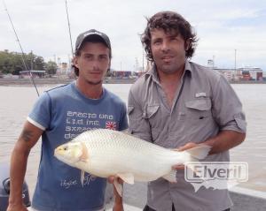 Sábalo en Puerto de Buenos Aires, enviado por: Jorge López Basavilbaso (No registrado)