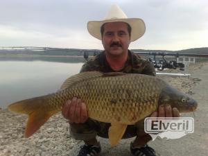 Carpa en El Vellon, enviado por: Geo (No registrado)