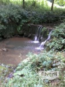 Rio cangrejero de alta montaña, enviado por: evp (No registrado)