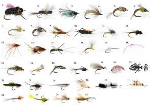 Fly patterns, enviado por: Mosca (No registrado)