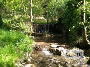Pesca en España , enviado por: Mosca (No registrado)