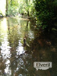 Pesca en España , enviado por: Mosca (No registrado)