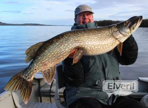 Lough Derg big pike, sent by: Herman Molenaar (Not registered)