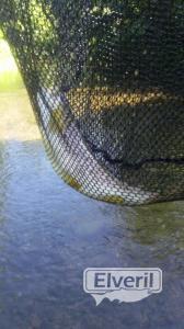 Pesca en España , enviado por: Mosca (No registrado)