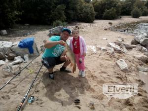 carpa, envoyé par: viorel (Non enregistré)