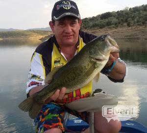 bass 2020 kg, sent by: A