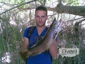 Trucha 3 kilos 700 gramos, enviado por: Barrax (No registrado)