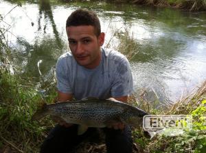 Trucha de 3 kilos , enviado por: Barrax (No registrado)