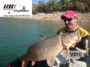 carpa a drop shot, enviado por: radicalkayakfishing