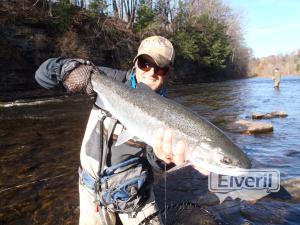 Steelhead Salmon River, envoyé par: Trico