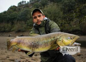 Trucha grande, envoyé par: Ivantrout