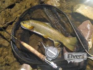 Coto Zelai (Tolosa), enviado por: xxl (No registrado)