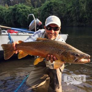 Trofeo de trucha marron, envoyé par: Johansen