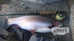 Arco iris, antes de someterse a dieta , enviado por: Johansen