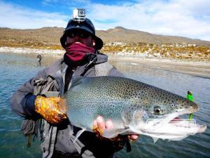 Arco iris gigante pescada en lago patagonico, enviado por: Johansen