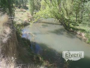 AREC MONTEJO DE LA VEGA, enviado por: EVP (No registrado)