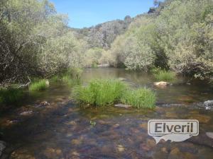 El río aquá es pequeño y con poca agua, enviado por: Administrador