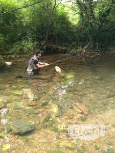 Coto Zelai (berrobi-Tolosa) Guipúzcoa - País Vasco, enviado por: Iml (No registrado)