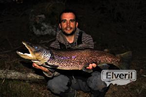 TRUCHA GRANDE, sent by: Iván (Not registered)
