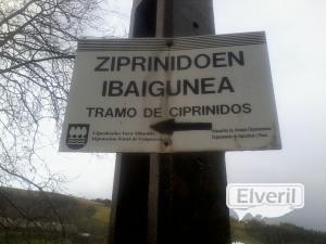 Tramo ciprinidos, envoyé par: El pesqui (Non enregistré)