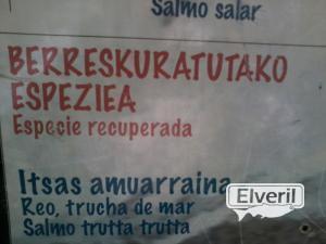 Reo especie recuperada, envoyé par: El pesqui (Non enregistré)