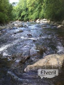 rios asturianos, envoyé par: asturies (Non enregistré)