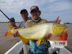 Dorado de Lauritto y Maggione, sent by: Jorge López Basavilbaso (Not registered)