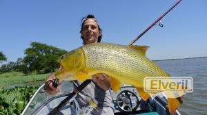 Dorado en Spinning, sent by: J.L.B. (Not registered)