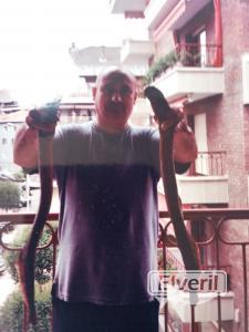 2 lampreas, envoyé par: IML (Non enregistré)